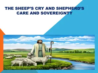 Insights from Psalms: Shepherd's Care, Sovereignty, and Jesus' Role