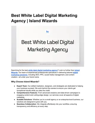 Best White Label Digital Marketing Agency _ Island Wizards