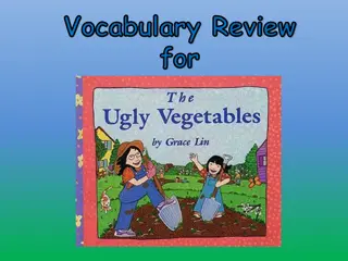 Vocabulary Review Exercises: Test Your Word Knowledge