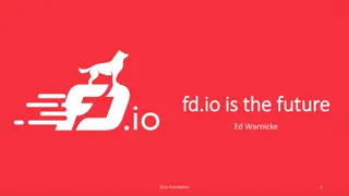 The Future of Fast Data Processing with fd.io VPP