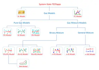 Exploring Multi-Flow Fluid Dynamics Models in Gas Systems