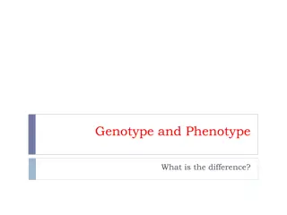 Genotype and Phenotype in Genetics