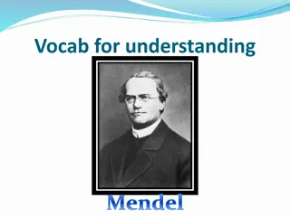 Understanding Mendel's Genetic Vocabulary