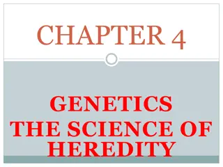 Genetics: The Science of Heredity and Gregor Mendel's Contributions