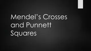 Understanding Mendel's Experiments: Crosses and Punnett Squares