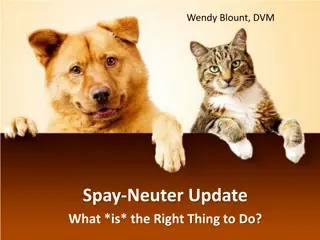 Alternatives to Traditional Spay-Neuter Practices in Dogs