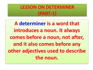 Determiners in English Grammar