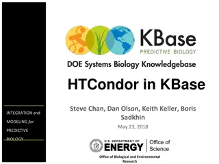 Overview of KBase and HTCondor Integration for Systems Biology Predictions