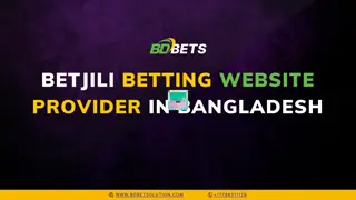 Betjili Betting Website provider in Bangladesh