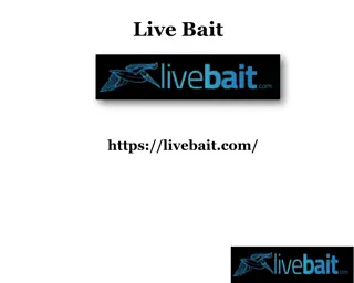 Cast Nets for Fishing, livebait