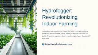 Hydrofogger-Revolutionizing-Indoor-Farming.pptx