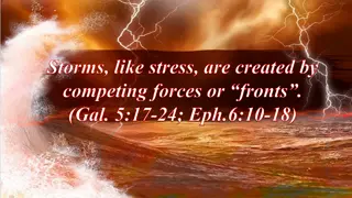 Navigating Stress and Struggles: Finding Peace Through Faith