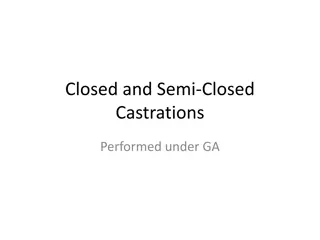 Closed and Semi-Closed Castrations Techniques in Veterinary Surgery