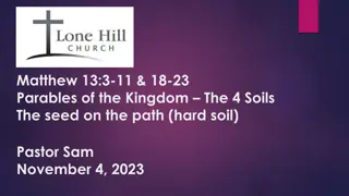 Insights on the Parable of the Four Soils: Matthew 13:3-11 & 18-23