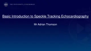 Understanding Speckle Tracking Echocardiography Basics