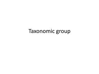 Taxonomic Grouping in Microbiology