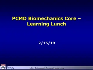 Biomechanics of Musculoskeletal Tissues and Mechanics Terms