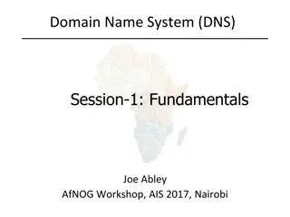 Domain Name System (DNS) Fundamentals