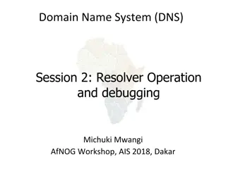 Domain Name System (DNS) Resolver Operation and Debugging