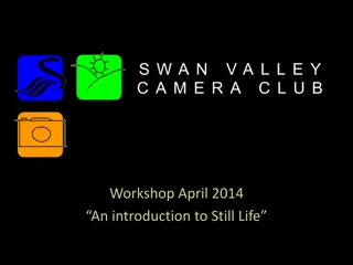 Introduction to Still Life Photography Workshop: April 2014