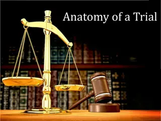 Anatomy of a Trial: Structure and Procedures Explained