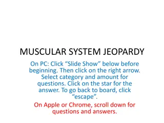 Muscular System Jeopardy - Learn About Muscle Functions and Facts