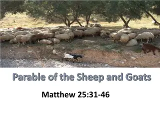 Parable of the Sheep and Goats - Reflections on Judgment