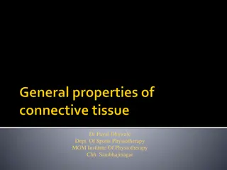 Understanding the Dynamic Nature of Connective Tissues in Sports Physiotherapy