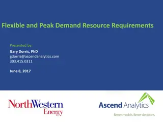 Enhancing Capacity Planning for Peak Demand and Flexible Resource Requirements