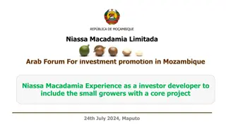 Unlocking the Potential of Macadamia: Niassa Macadamia's Investment Journey