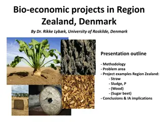 Bio-Economic Projects in Zealand, Denmark: Enhancing Sustainable Biomass Utilization