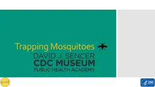 Exploring Mosquitoes and Public Health Initiatives