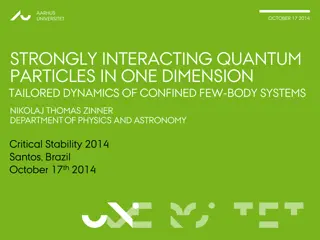 Strongly Interacting Quantum Particles in One Dimension - Research at Aarhus Universitet