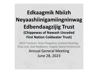 Edkaagmik Nbiizh Neyaashiinigamiingninwag Trust Overview