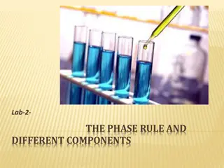 Understanding the Phase Rule and Components in Systems