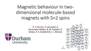 Magnetic Behavior in Two-Dimensional Molecule-Based Magnets