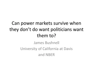 Challenges and Evolution of Power Markets in the Face of Political and Economic Factors