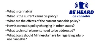 Cannabis Policies and Implications in Minnesota