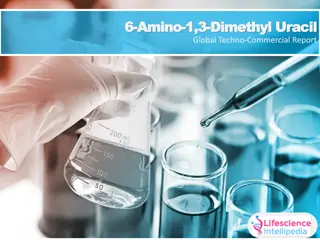 Global Techno-Commercial Report on 6-Amino-1,3-Dimethyluracil