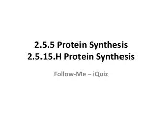 Understanding Protein Synthesis and Genetic Codes