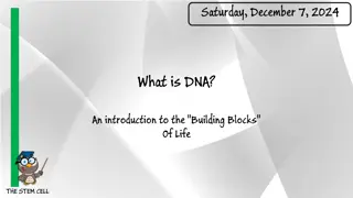 DNA: The Building Blocks of Life