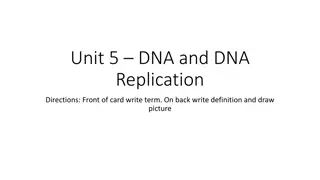 DNA and DNA Replication: Key Concepts with Visual Aids