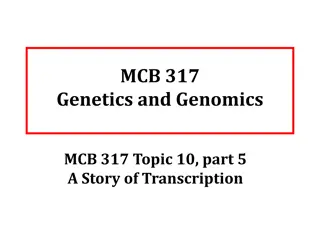 Insights into Transcription: Mediator Identification and RNAPII Structure Study