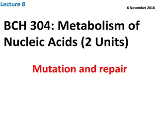 Understanding Causes of Mutations and Repair Mechanisms