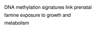 Epigenetic Impact of Prenatal Famine Exposure on Growth and Metabolism