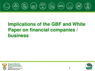 Implications of GBF and White Paper on Financial Companies