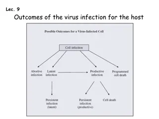 Outcomes of the virus infection for the host