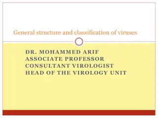 Overview of Virus Structure and Classification