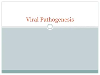 Understanding Viral Pathogenesis: Causes and Consequences