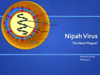 Understanding Nipah Virus: A Comprehensive Overview